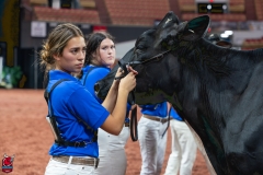 AR300210-Edit AR300210-Edit