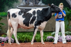 A101198-28655 A101198-28655