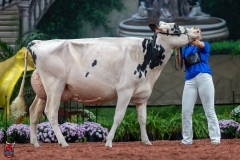 A101200-28656 A101200-28656