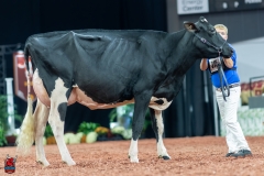 A101232-28658 A101232-28658