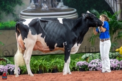 A101241-28660 A101241-28660