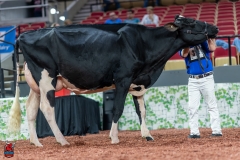 A101249-28661 A101249-28661