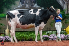 A101254-28662 A101254-28662