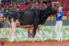 A101257-28663 A101257-28663