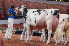 AR300027-2-Edit AR300027-2-Edit