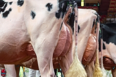 AR300028-2-Edit AR300028-2-Edit