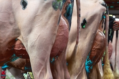 AR300029-2-Edit AR300029-2-Edit