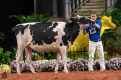 A100072-28524 A100072-28524