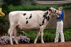 A100094-28526 A100094-28526