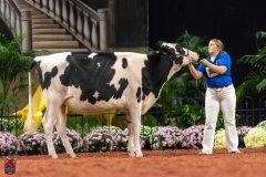 A100124-28529 A100124-28529