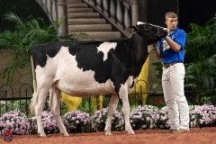 A100132-28530 A100132-28530