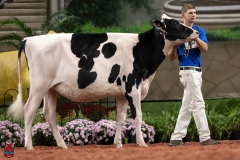 A100134-28531 A100134-28531