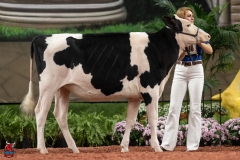 A100140-28532 A100140-28532