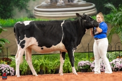 A100167-28534 A100167-28534