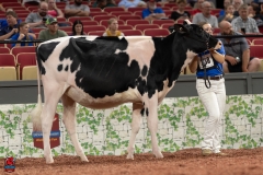 A100208-28538 A100208-28538