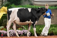 A100214-28539 A100214-28539