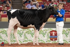 A100216-28540 A100216-28540