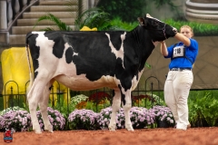 A100221-28541 A100221-28541