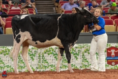 A100224-28542 A100224-28542