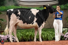 A100228-28543 A100228-28543