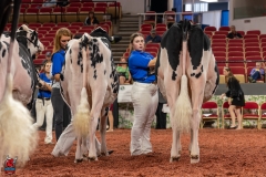 AR309977-28544 AR309977-28544