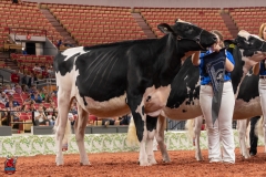 AR309985-28546 AR309985-28546