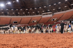 AR309989-28548 AR309989-28548