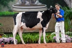 A109299-28425 A109299-28425