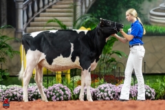 A109332-28429 A109332-28429