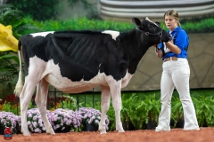 A109357-28431 A109357-28431