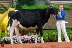 A109365-28433 A109365-28433