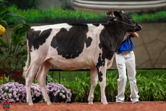 A109377-28434 A109377-28434