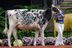 A109382-28435 A109382-28435