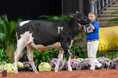 A109391-28436 A109391-28436