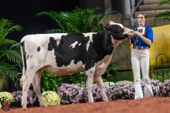 A109398-28437 A109398-28437