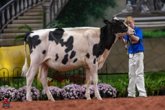 A109402-28438 A109402-28438