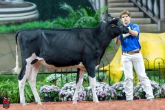 A109416-28439 A109416-28439