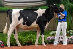 A109425-28440 A109425-28440