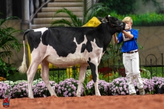 A109430-28441 A109430-28441