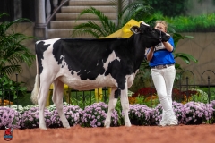 A109435-28442 A109435-28442