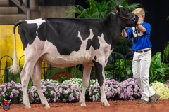 A109438-28443 A109438-28443