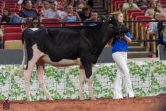 A109443-28444 A109443-28444