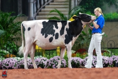 A109453-28446 A109453-28446