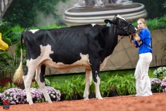 A100489-28586 A100489-28586