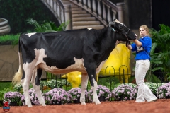 A100497-28587 A100497-28587