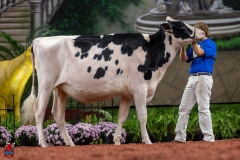 A100504-28588 A100504-28588