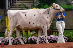 A100510-28589 A100510-28589