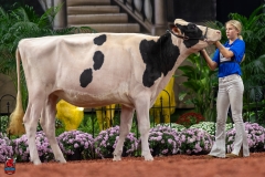 A100520-28590 A100520-28590