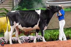 A100526-28591 A100526-28591