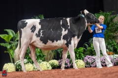 A100531-28592 A100531-28592